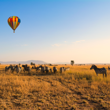Reisen, die für immer beiben!